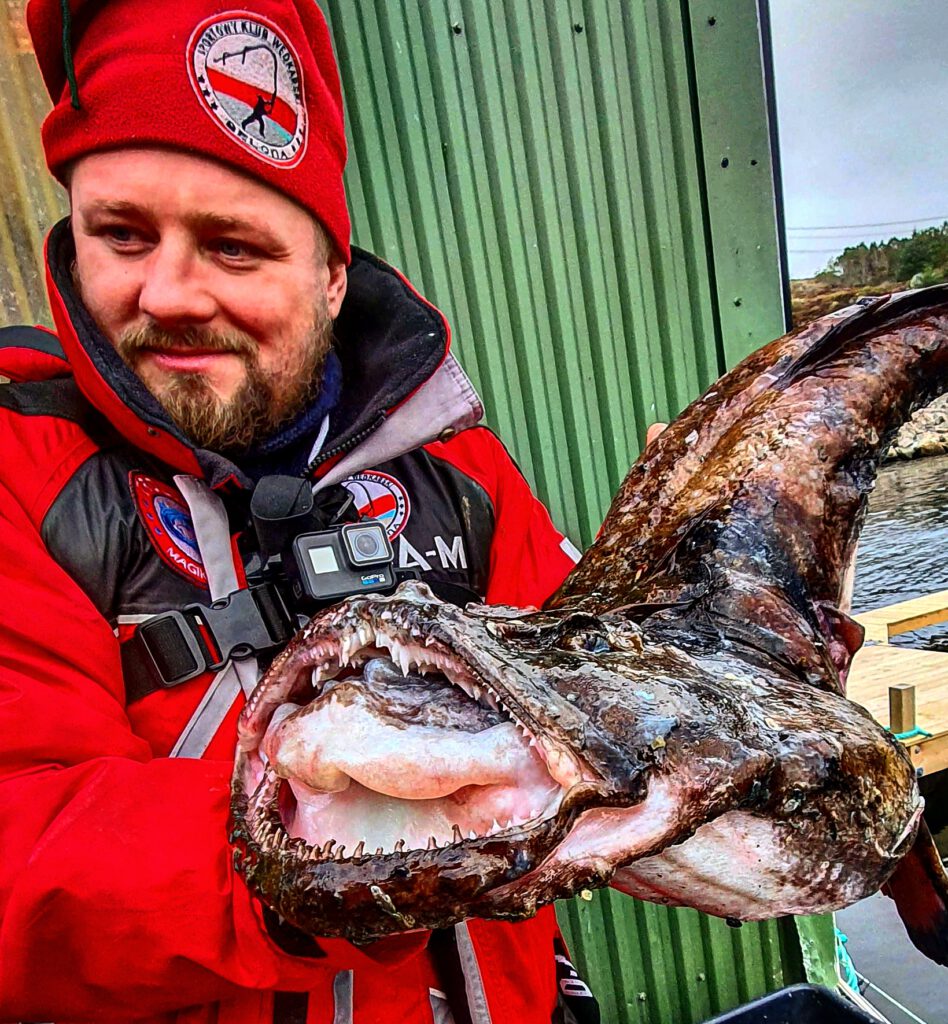 Filmik z wyprawy do Bergen. Molwy, seje, dorsze i żabnica.