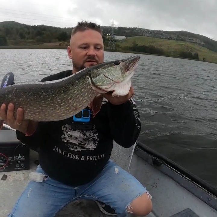 Kolejny piękny prosiaczek