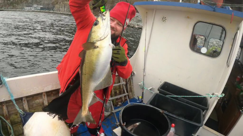 Wiosenny rekonesans.